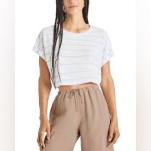 NWT Splendid Skyler Stripped Cotton Blend Cropped Tee Size Large